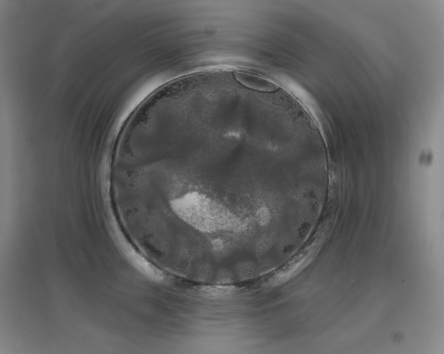 X0000097610859200802291300