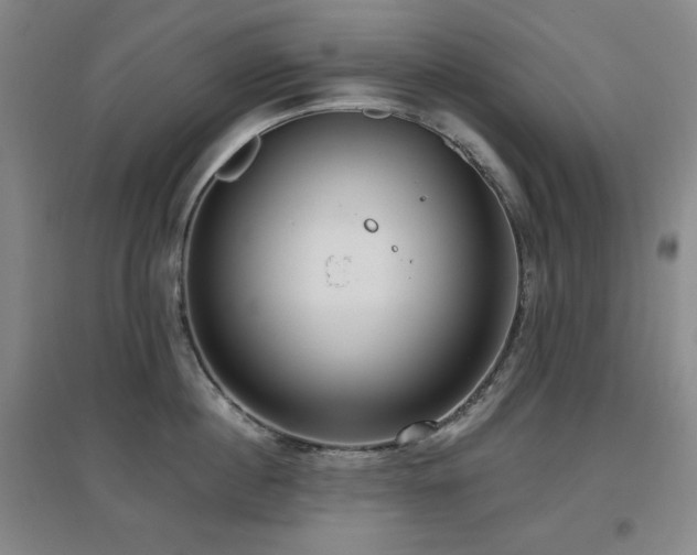 X0000097610860200802291300