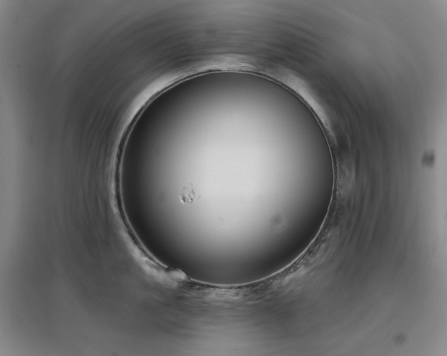X0000097610861200802291300