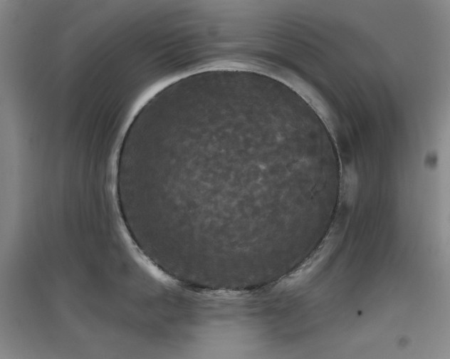 X0000097610862200802291300