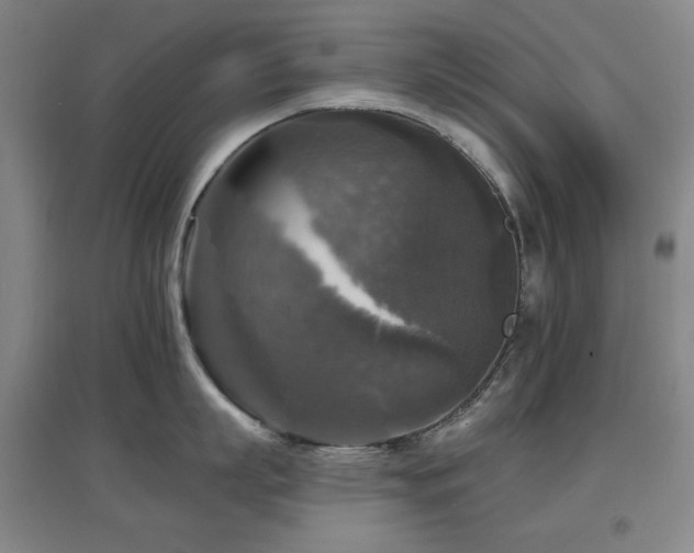 X0000097610863200802291300