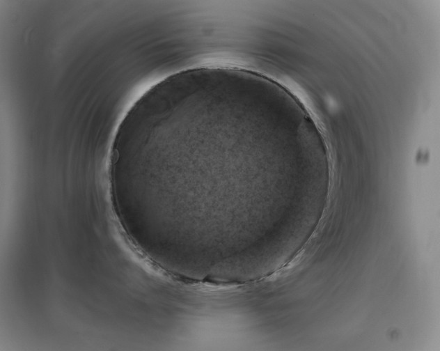 X0000097610864200802291300