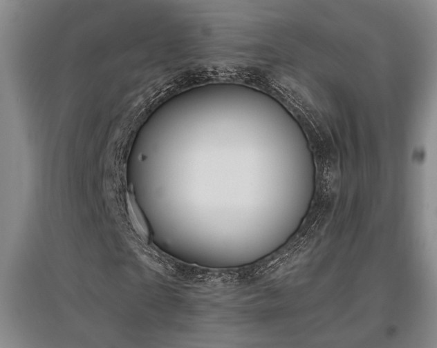 X0000097610865200802291300