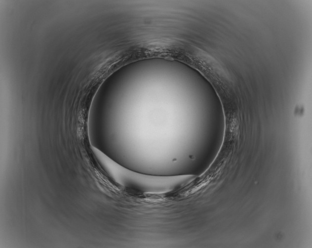 X0000097610868200802291300