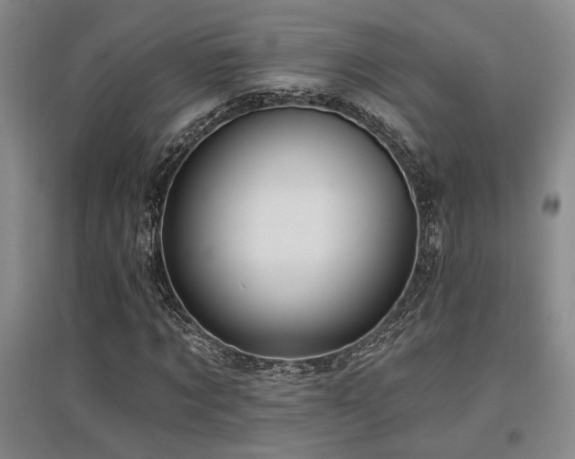 X0000097610869200802291300