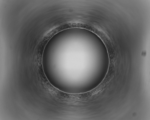 X0000097610870200802291300