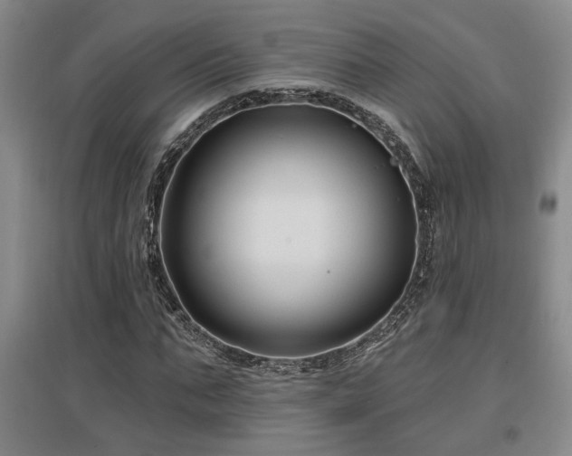X0000097610871200802291300
