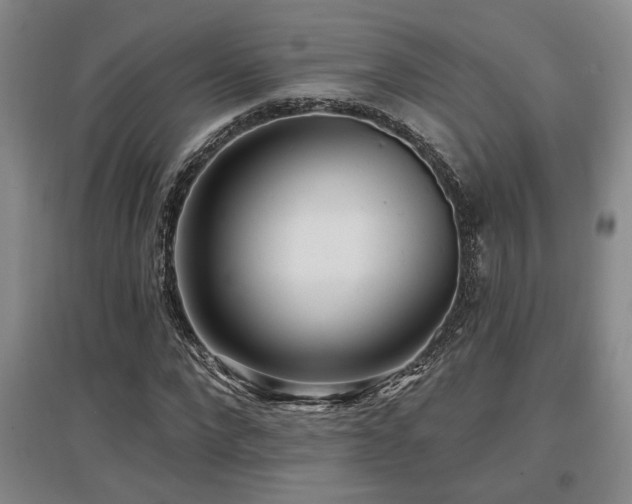 X0000097610872200802291300