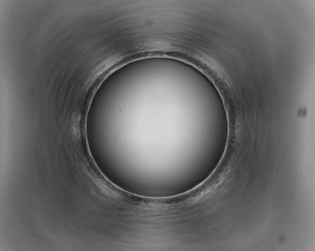 X0000097610873200802291300