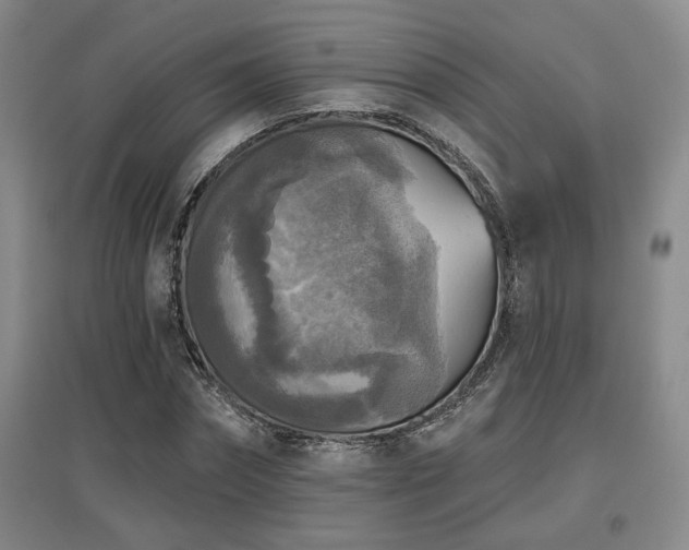 X0000097610874200802291300