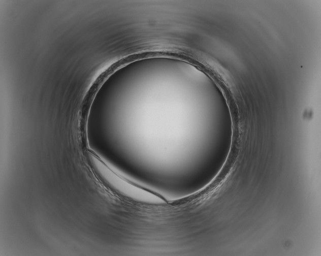 X0000097610875200802291300