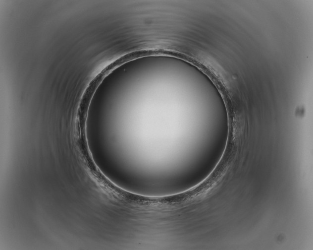 X0000097610876200802291259