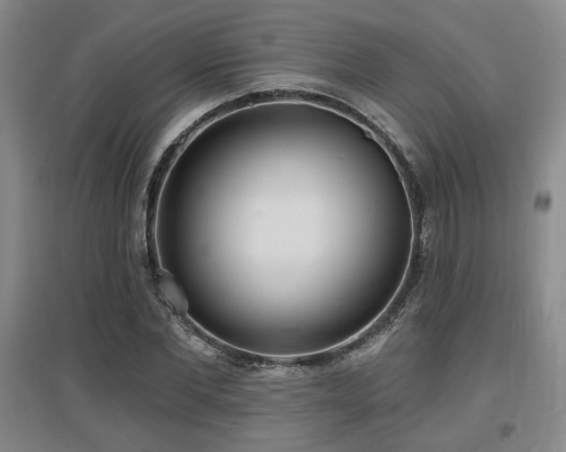 X0000097610877200802291259