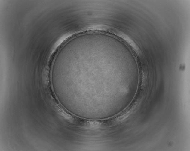 X0000097610878200802291259