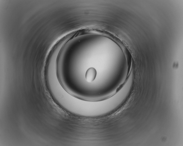 X0000097610880200802291259
