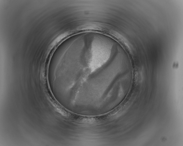 X0000097610882200802291259