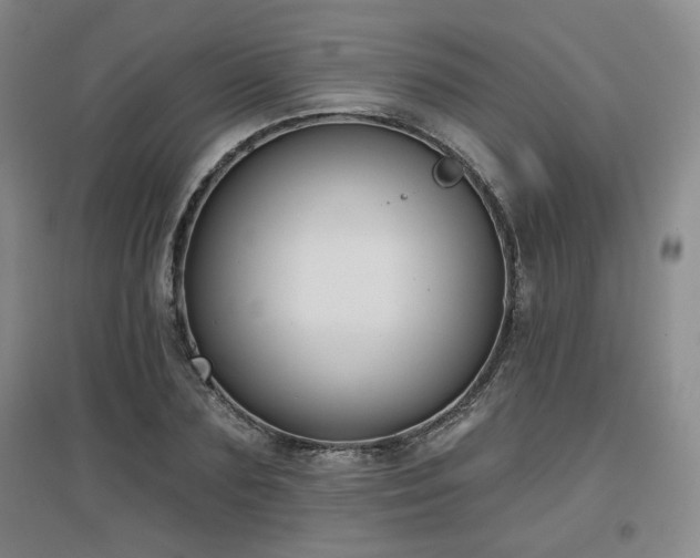 X0000097610883200802291259