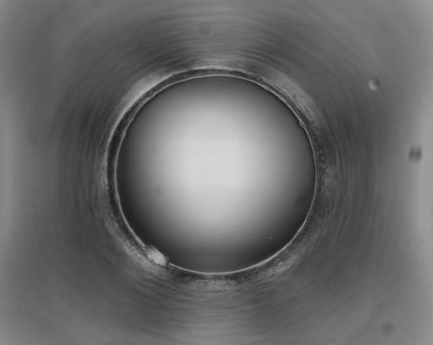 X0000097610884200802291259