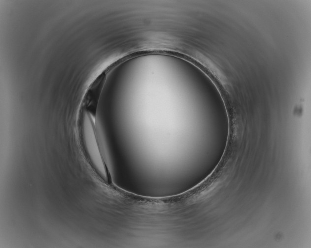 X0000097610885200802291259