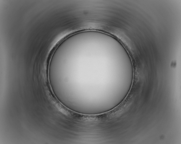X0000097610886200802291259