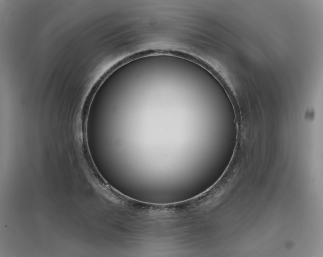 X0000097610887200802291259