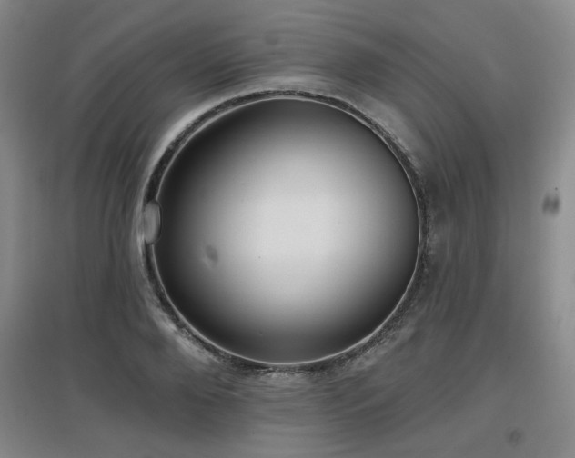 X0000097610888200802291259