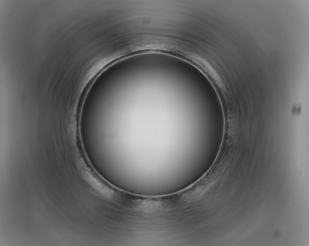 X0000097610890200802291259