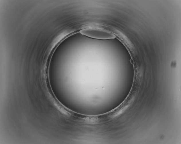 X0000097610893200802291259