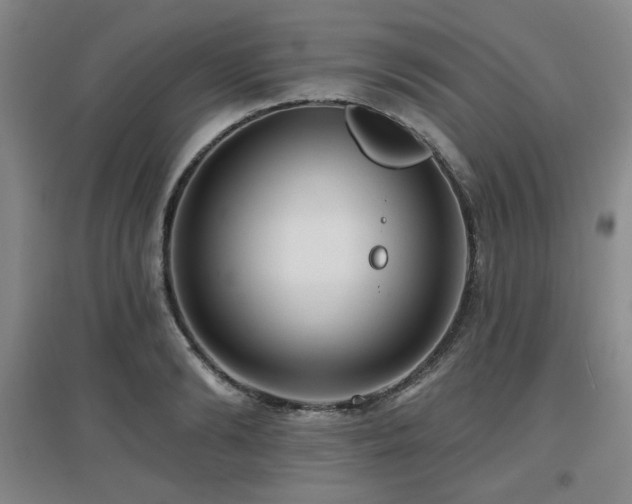X0000097610894200802291259