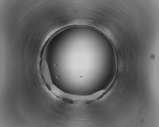 X0000097610896200802291259