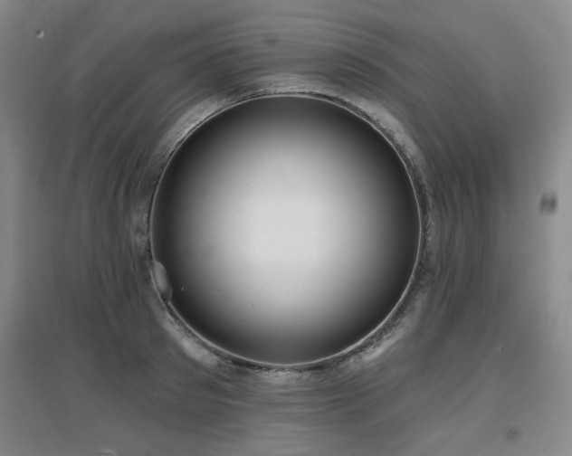 X0000097610897200802291259
