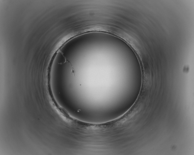 X0000097610898200802291259