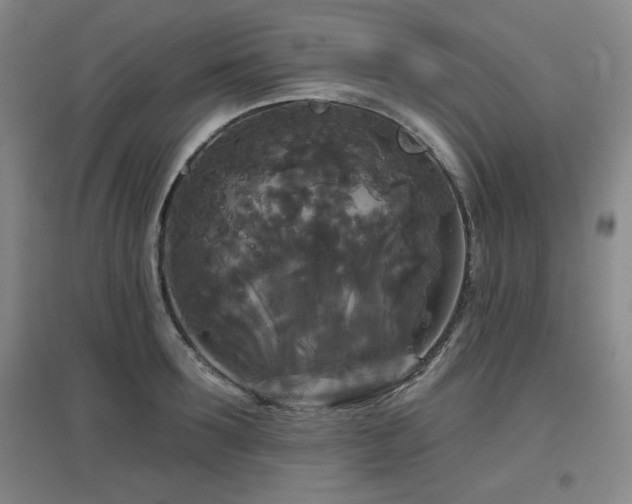 X0000097610899200802291259