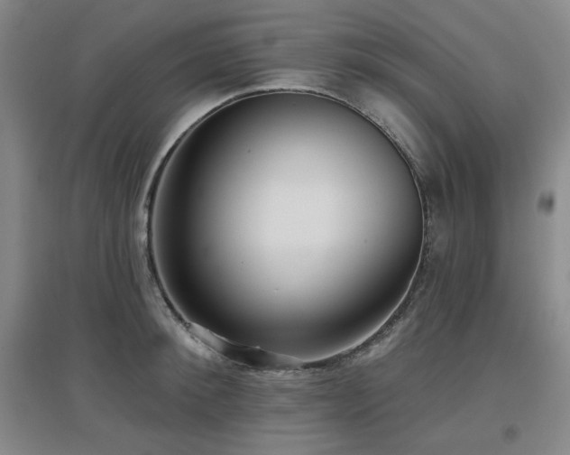 X0000097610900200802291259