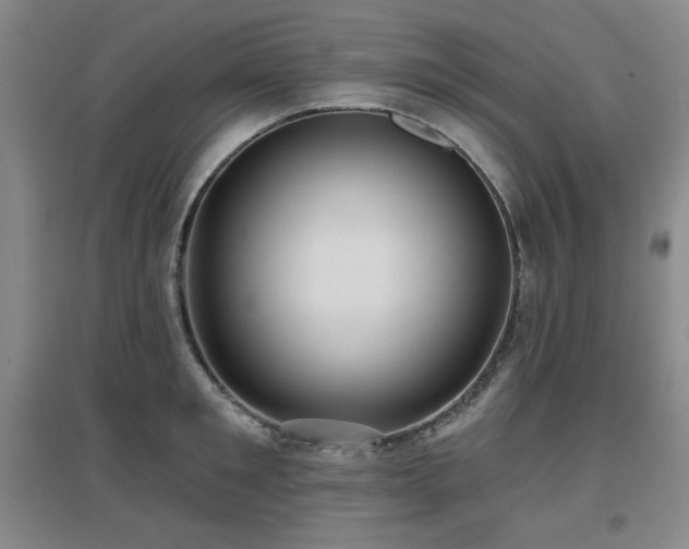 X0000097610901200802291259