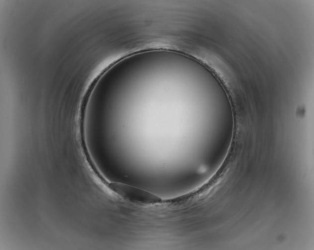 X0000097610902200802291259