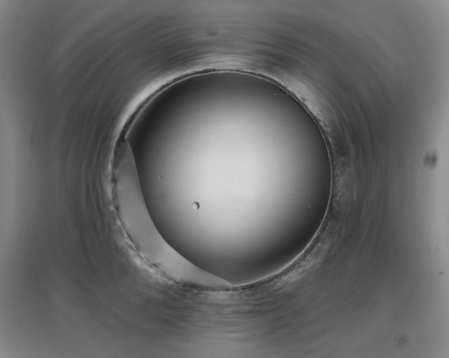 X0000097610904200802291259