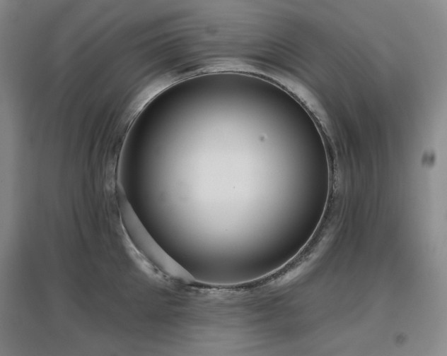 X0000097610905200802291259