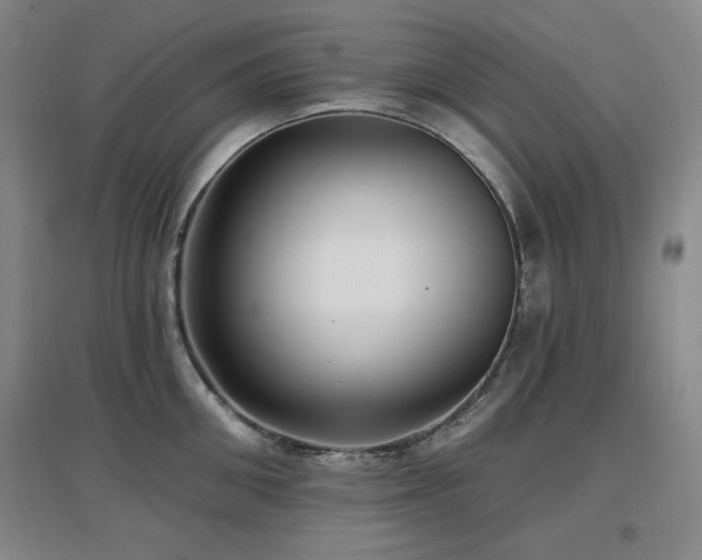 X0000097610906200802291259