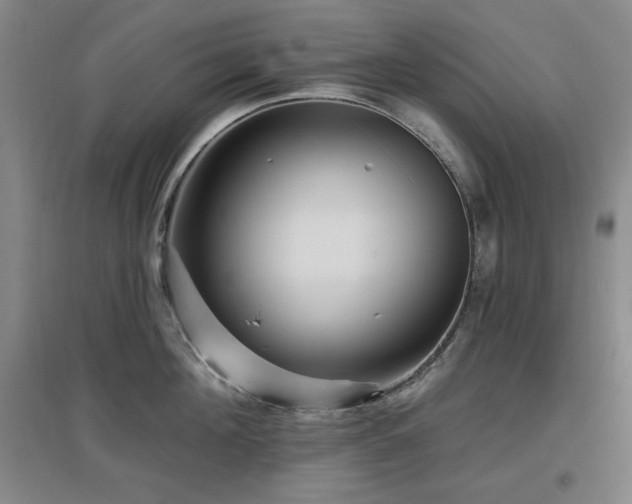 X0000097610908200802291259