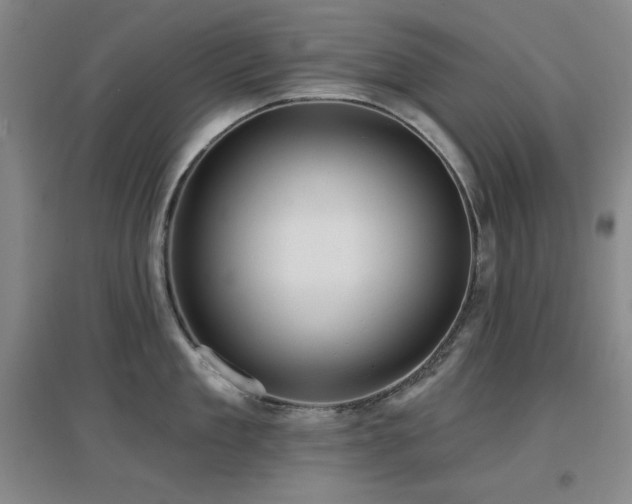 X0000097610909200802291259