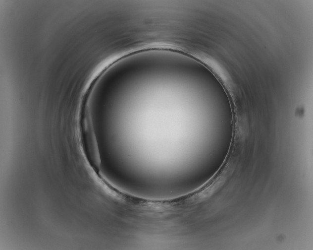 X0000097610910200802291259
