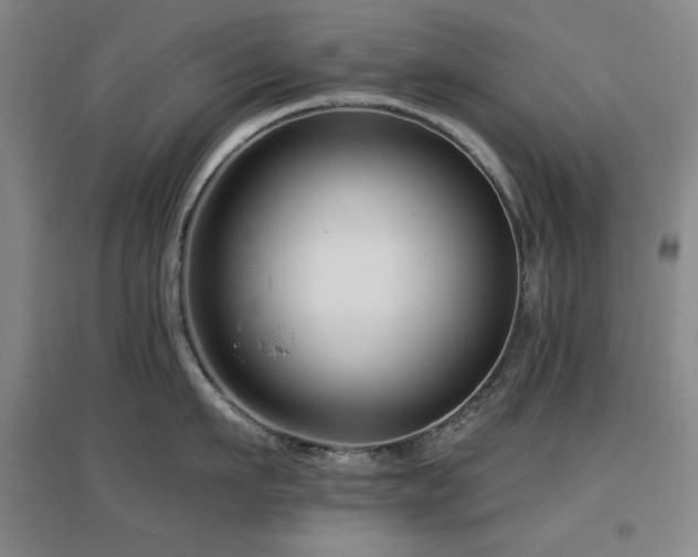 X0000097610911200802291259