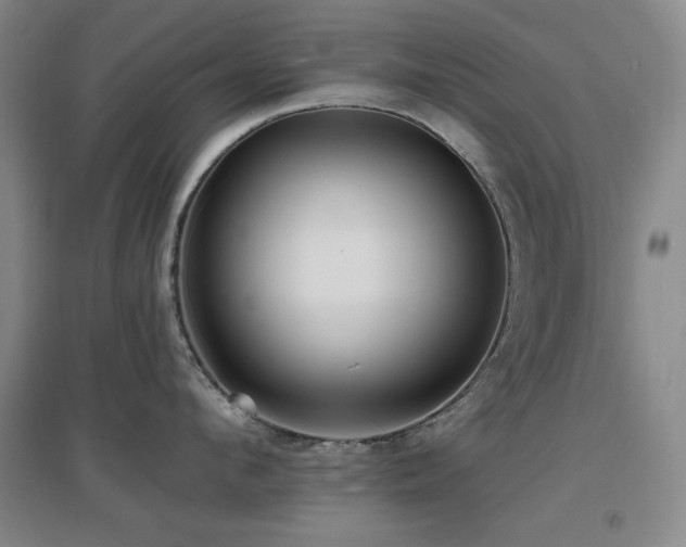 X0000097610912200802291259