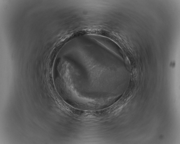 X0000097610913200802291258