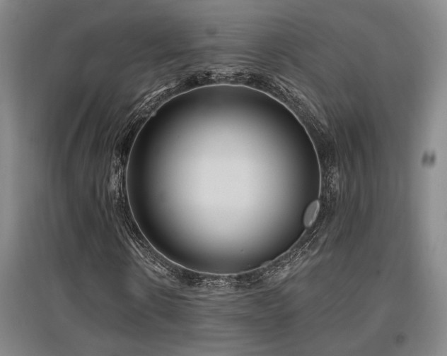 X0000097610914200802291258
