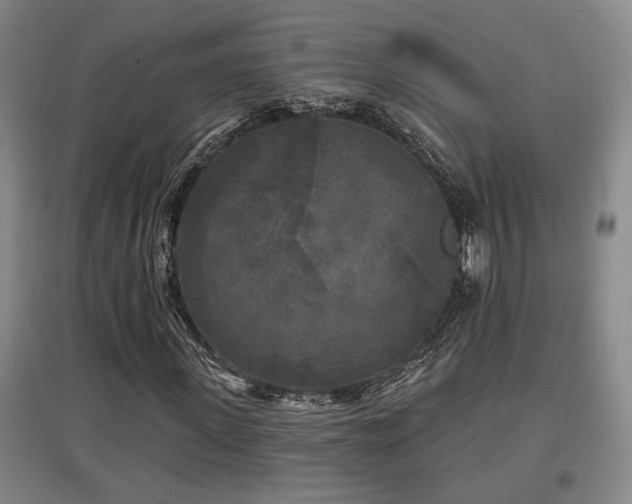 X0000097610915200802291258