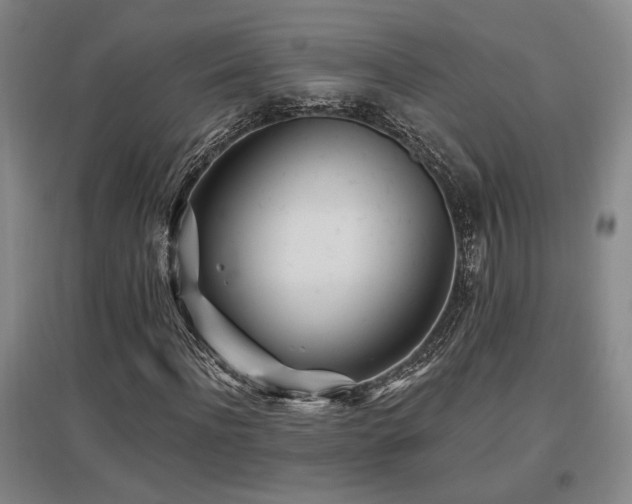 X0000097610916200802291258