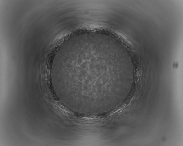 X0000097610917200802291258
