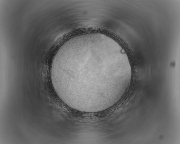 X0000097610918200802291258